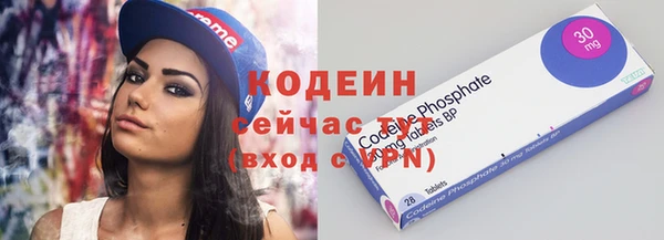 крисы Магас