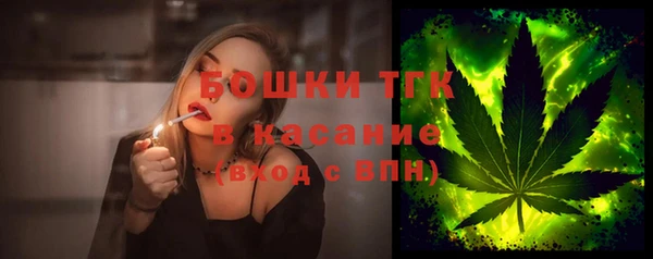 крисы Магас