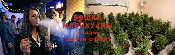 крисы Магас