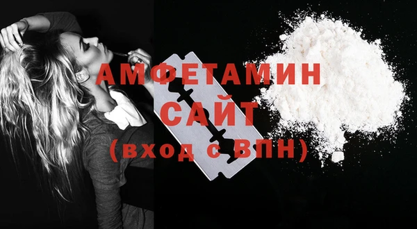 крисы Магас