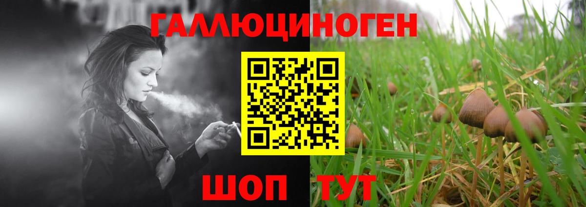 Галлюциногенные грибы мухоморы  Вход с VPN  Грозный 