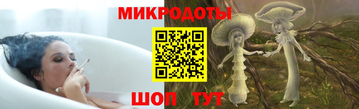 Галлюциногенные грибы Psilocybine cubensis Грозный