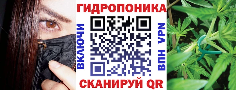 Канабис семена  Грозный 